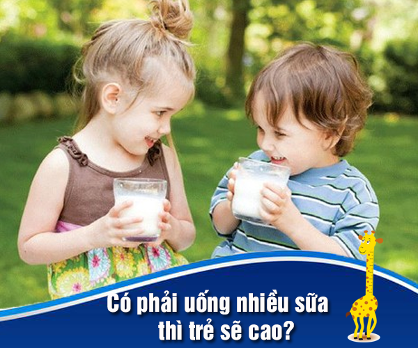Có phải uống nhiều sữa thì trẻ sẽ cao?